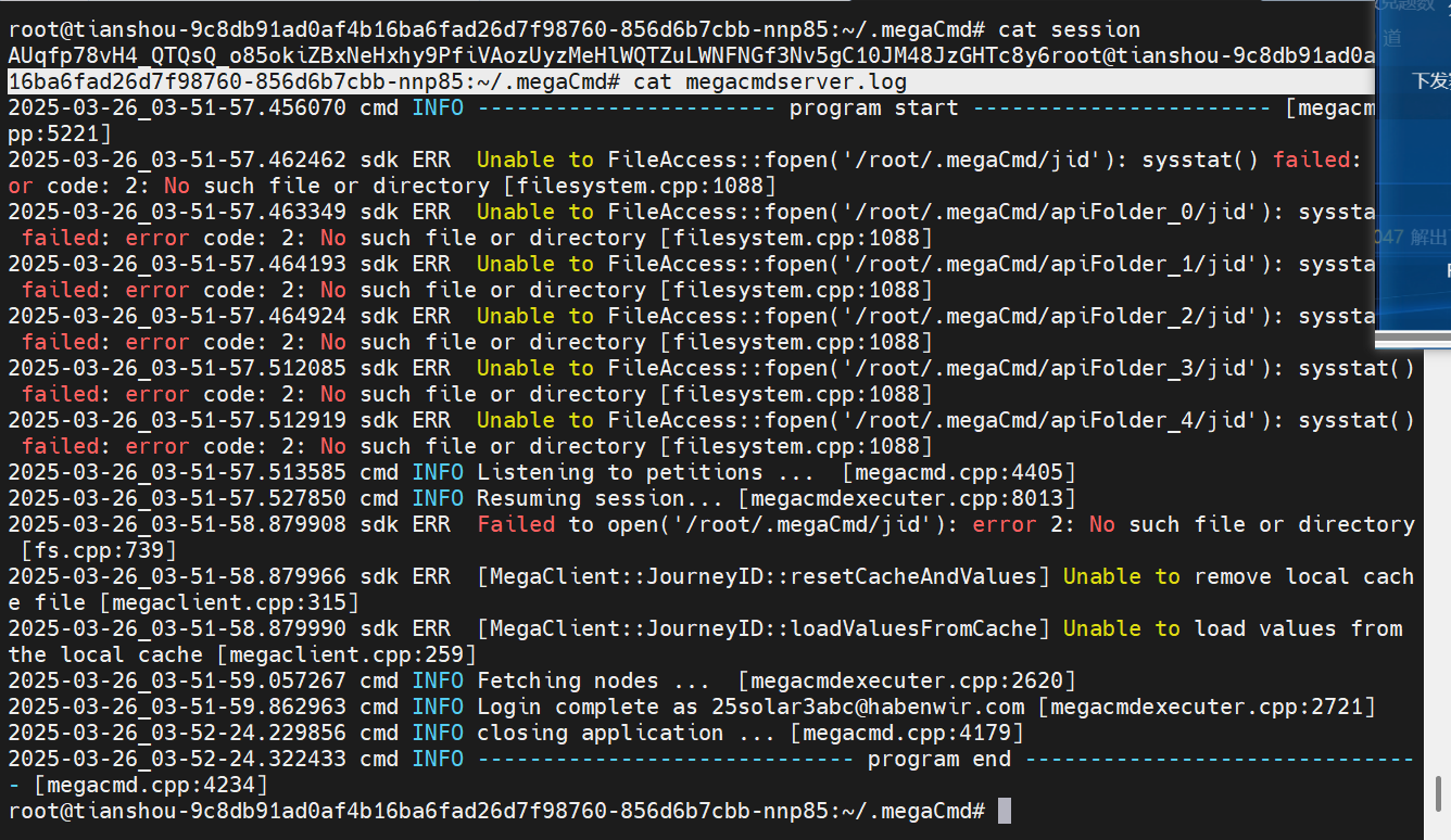 image-20250329105320044