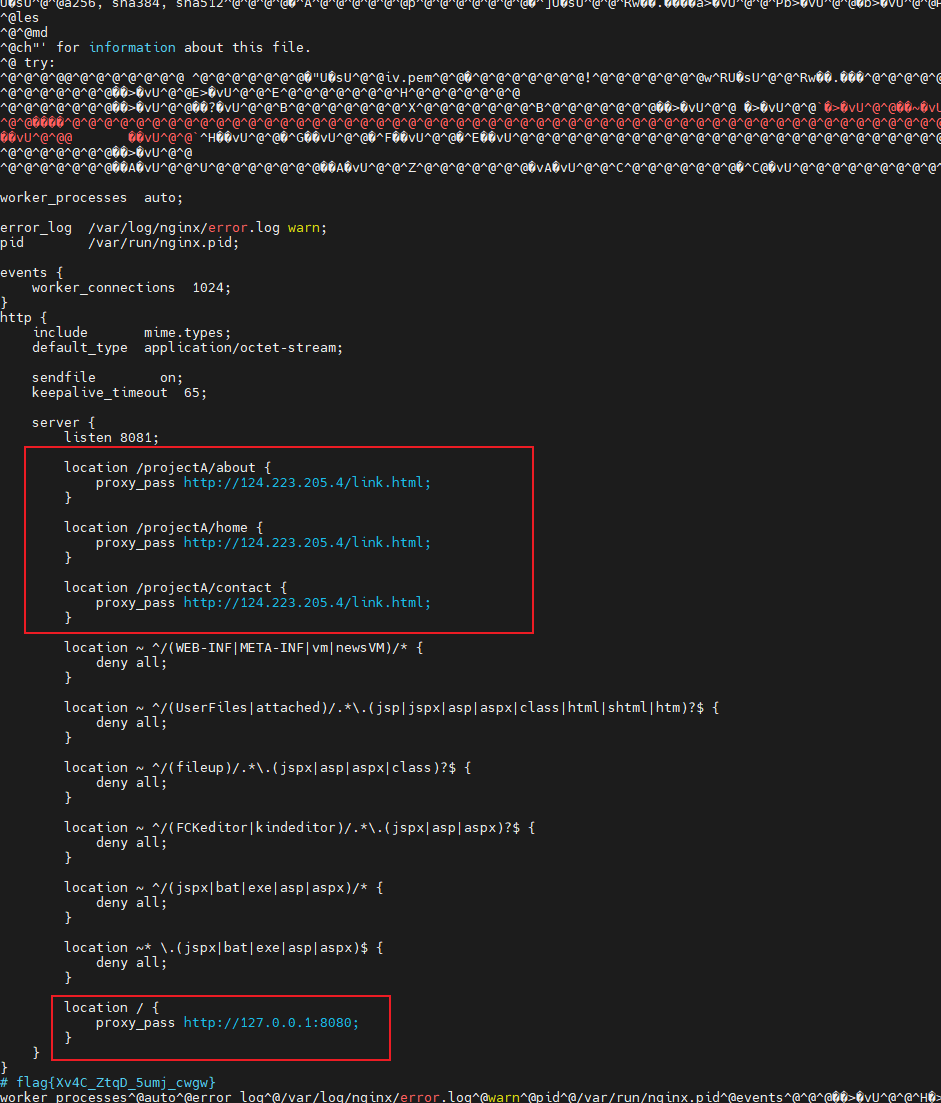 image-20250331155401589